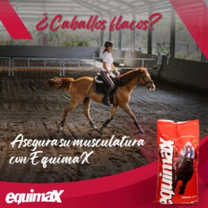 ALIMENTO DE CAMPEONES!